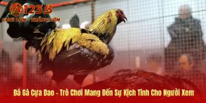 Ảnh bìa đá gà cựa dao tại 123B