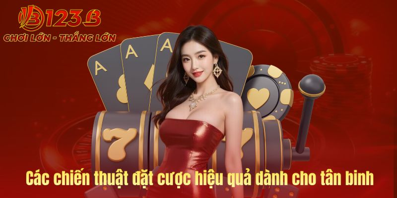 Chiến thuật đặt cược hiệu quả cho tân binh